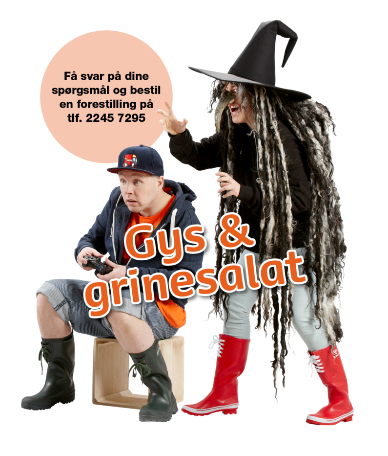 Heksen og drengen